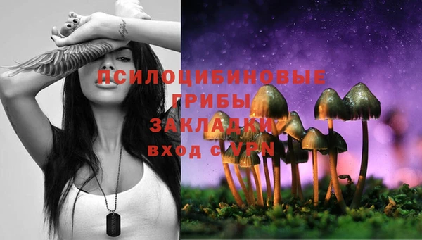 mix Рославль