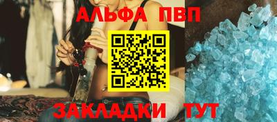 индика Камышлов