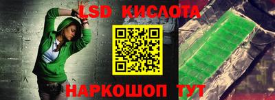 индика Камышлов