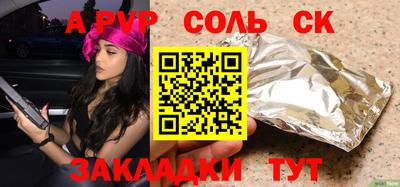 индика Камышлов
