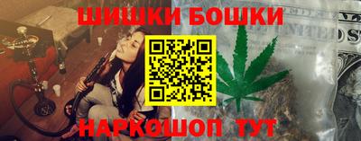индика Камышлов