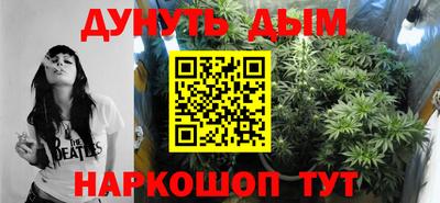 индика Камышлов