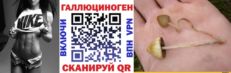 кракен ССЫЛКА  Зеленогорск  Галлюциногенные грибы GOLDEN TEACHER 