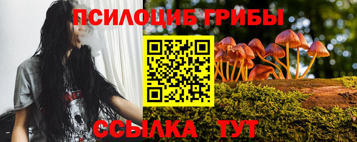 Псилоцибиновые грибы мицелий  Вход с VPN  Зеленогорск 